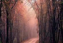 德国足球传奇教头领导国家队重返世界杯赛场