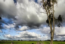 利物浦主场完胜，出线形势一片大好